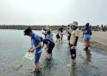 海水留下的生命密碼 eDNA帶你看見看不見的海洋 5 海水留下的生命密碼 eDNA帶你看見看不見的海洋