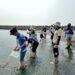 海水留下的生命密碼 eDNA帶你看見看不見的海洋 8 海水留下的生命密碼 eDNA帶你看見看不見的海洋