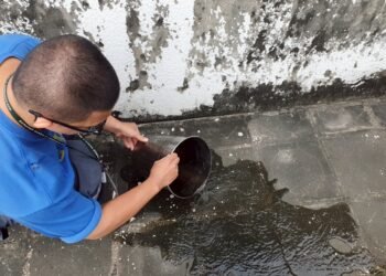 颱風過後防疫不鬆懈！嘉市籲清積水、顧飲食　防登革熱上身