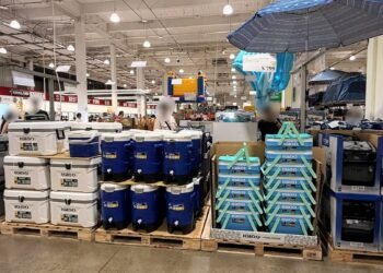 露營新手逛好市多一次買齊 網友曝必備清單:推車保冰箱最實用 6 露營新手逛好市多一次買齊 網友曝必備清單:推車保冰箱最實用
