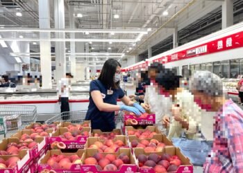 好市多水蜜桃再升級　專人戴手套逐一檢查品質