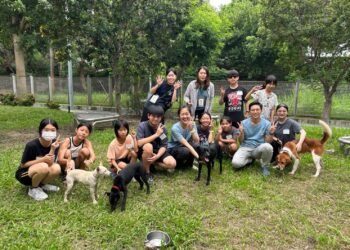 「謝謝你,療癒了我!」 2026療癒犬夏令營成果發表 孩子與收容犬雙向陪伴共成長 13 「謝謝你,療癒了我!」 2026療癒犬夏令營成果發表 孩子與收容犬雙向陪伴共成長