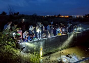 探索高美濕地生物多樣性 中市農業局推出日間導覽及夜間陸蟹保育體驗 8 探索高美濕地生物多樣性 中市農業局推出日間導覽及夜間陸蟹保育體驗