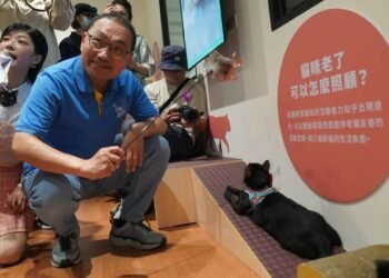 全國首座「幸福喵樂宅」開箱　侯友宜倡導「終養不棄養」