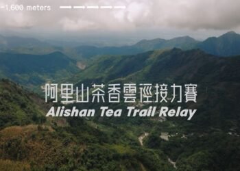 循著茶香跑進雲霧山林　2026阿里山茶香雲徑接力賽開放報名