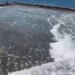 宜蘭沿海出現大浪　龜山島6日起封島4天