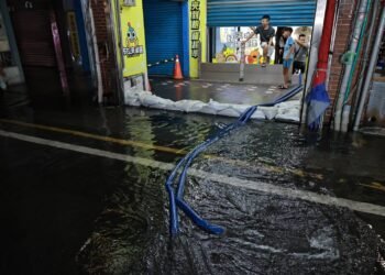 白海豚遇天文大潮海水倒灌 基隆啟動受災店家專案救助 15 白海豚遇天文大潮海水倒灌 基隆啟動受災店家專案救助