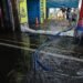白海豚遇天文大潮海水倒灌 基隆啟動受災店家專案救助 11 白海豚遇天文大潮海水倒灌 基隆啟動受災店家專案救助