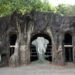 【週末限定】走進亞洲象的家！北市動物園遷園40周年象舍首度開放
