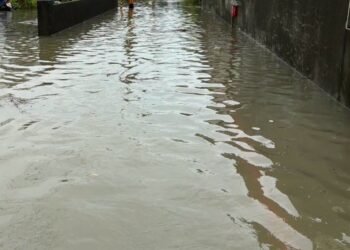 「竹北經驗」禁得起驗收？市民投書批鄭朝方：治理不能只看公園與美學