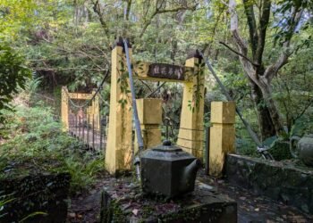 南港舊莊茶山以桂花步道與五感體驗　重新定義台北後花園