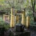 南港舊莊茶山以桂花步道與五感體驗 重新定義台北後花園 14 南港舊莊茶山以桂花步道與五感體驗 重新定義台北後花園