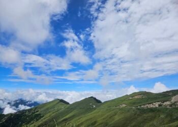 一趟旅程、雙重享受！9月住宿合歡山　即享奧萬大10元優惠入園