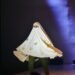 跨越百年的身體記憶　2026 Dance Now Asia舞蹈藝術節9月臺北登場