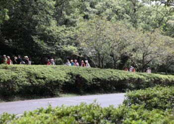不費力愜意小旅行　陽明山徒步指南